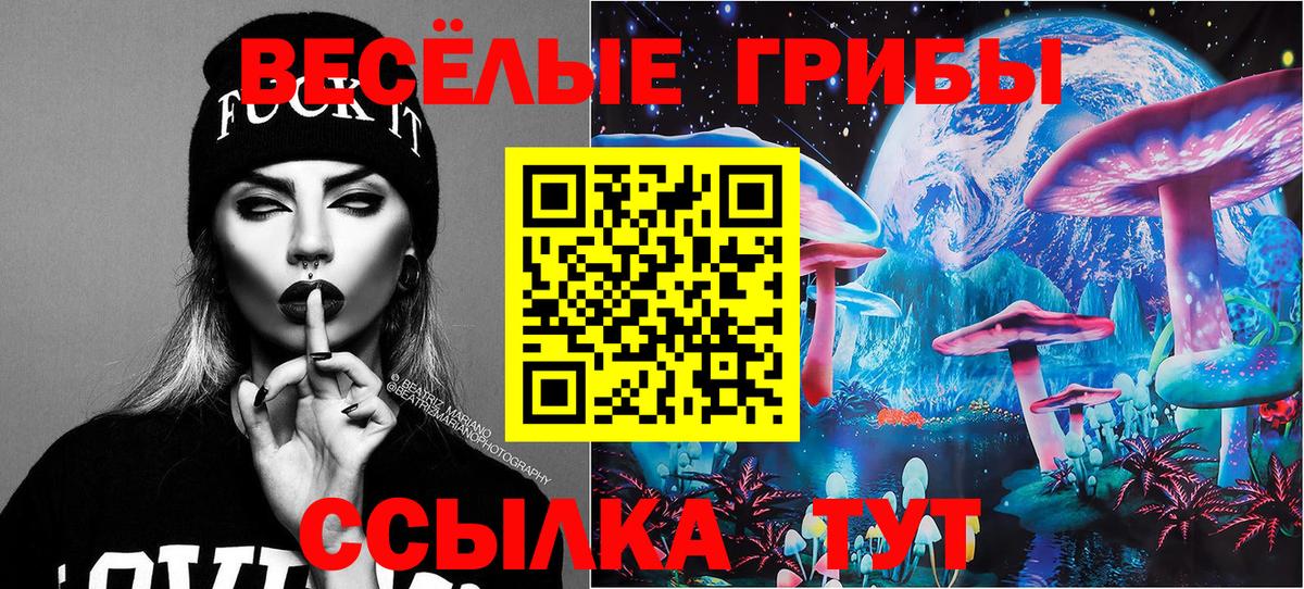 Галлюциногенные грибы прущие грибы Избербаш