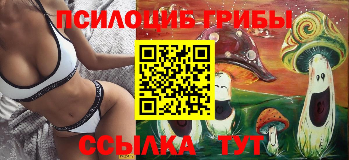 Псилоцибиновые грибы GOLDEN TEACHER  Псилоцибиновые грибы Psilocybine cubensis  хочу   Вход с VPN  Избербаш 